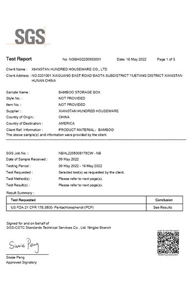 RAPORO Y'IKIZAMINI CYA FDA NA SGS-1